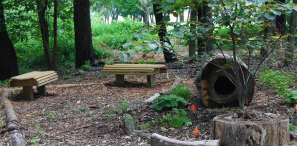 Will Gabay, Troop 170, built benches in the Woodland Garden to give visitors a peaceful spot to enjoy the wild flowers.