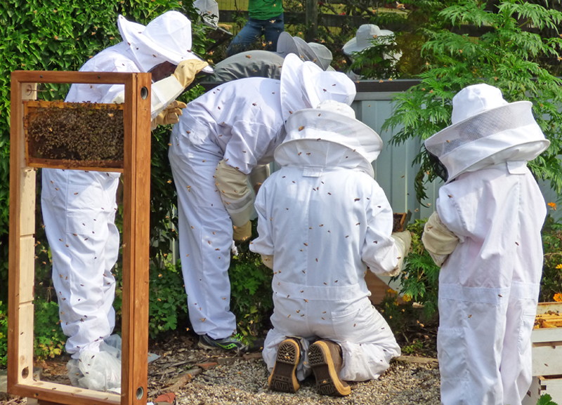 Beekeepers Surrounded by Bees 2