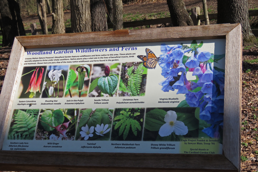 New Wildflower Signs