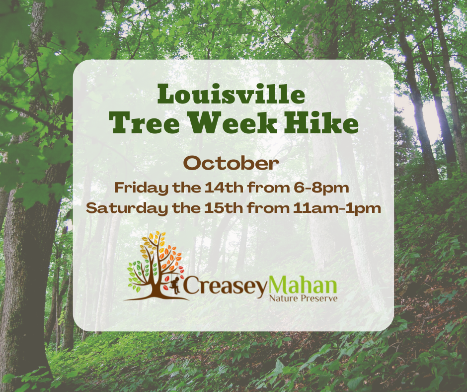 Read more about the article Louisville Tree Week Hike