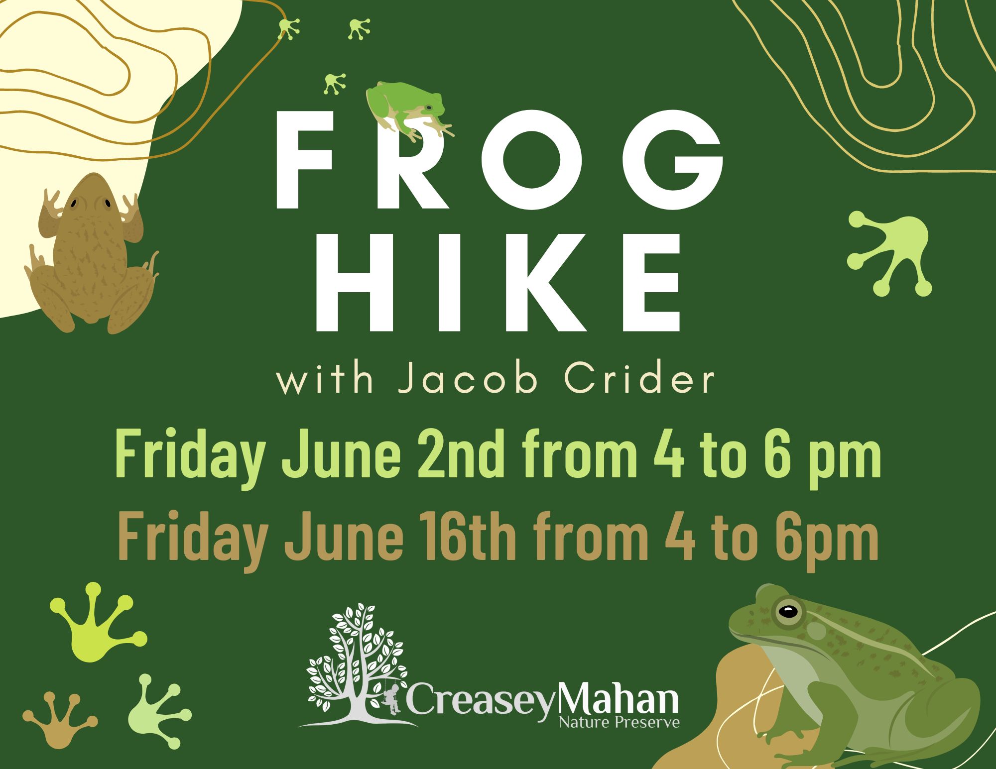 Read more about the article Frog Hike