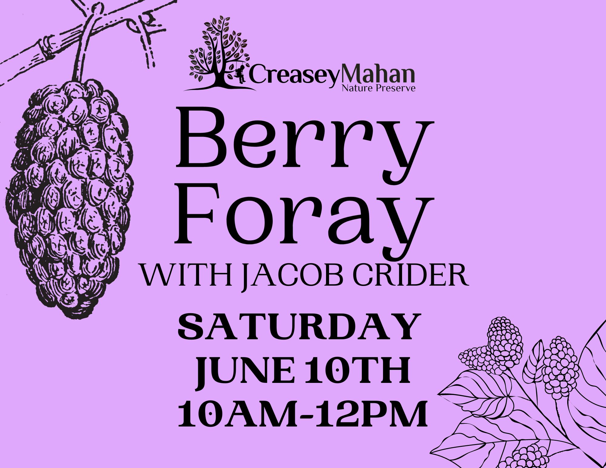 Read more about the article Berry Foray