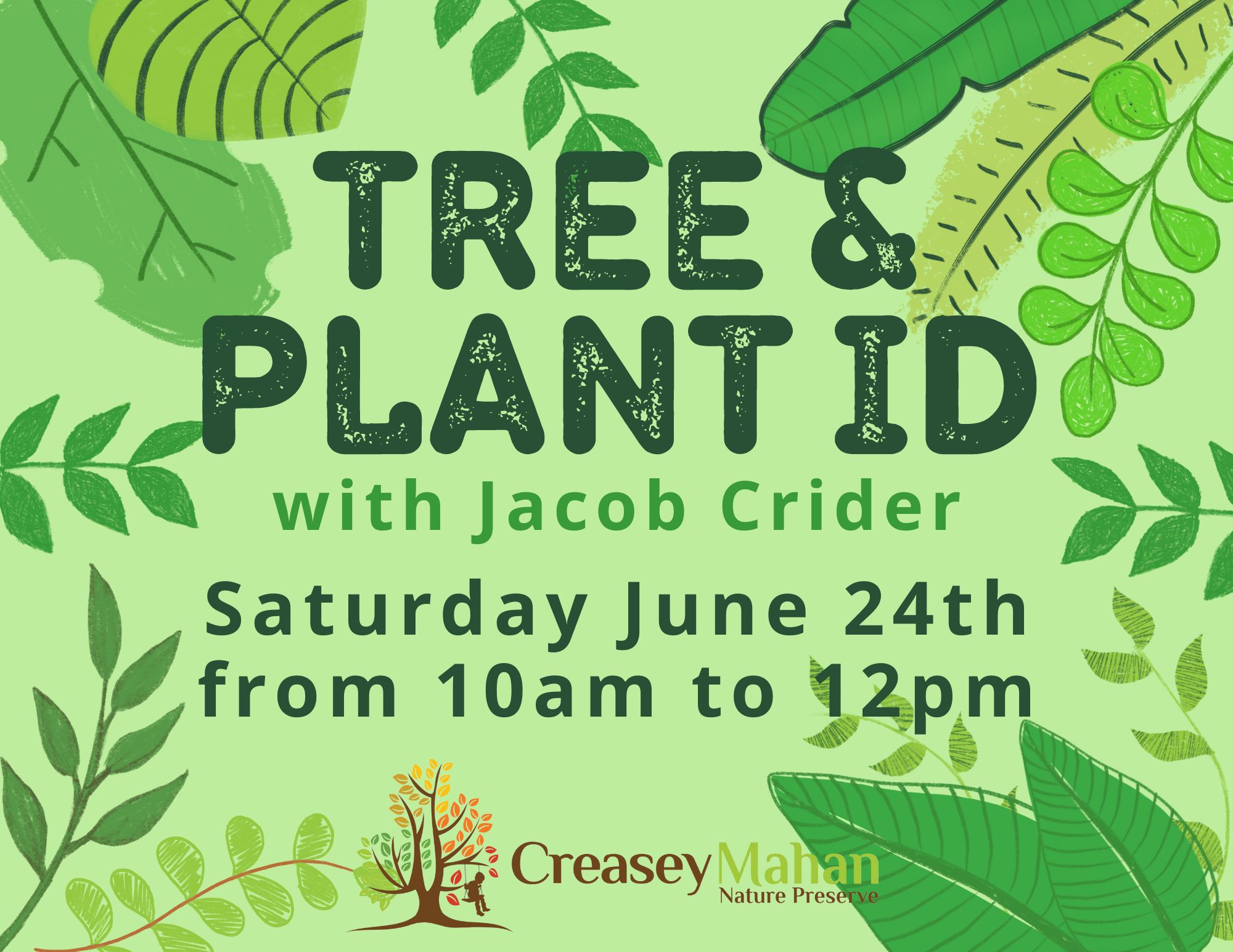 Read more about the article Tree & Plant ID
