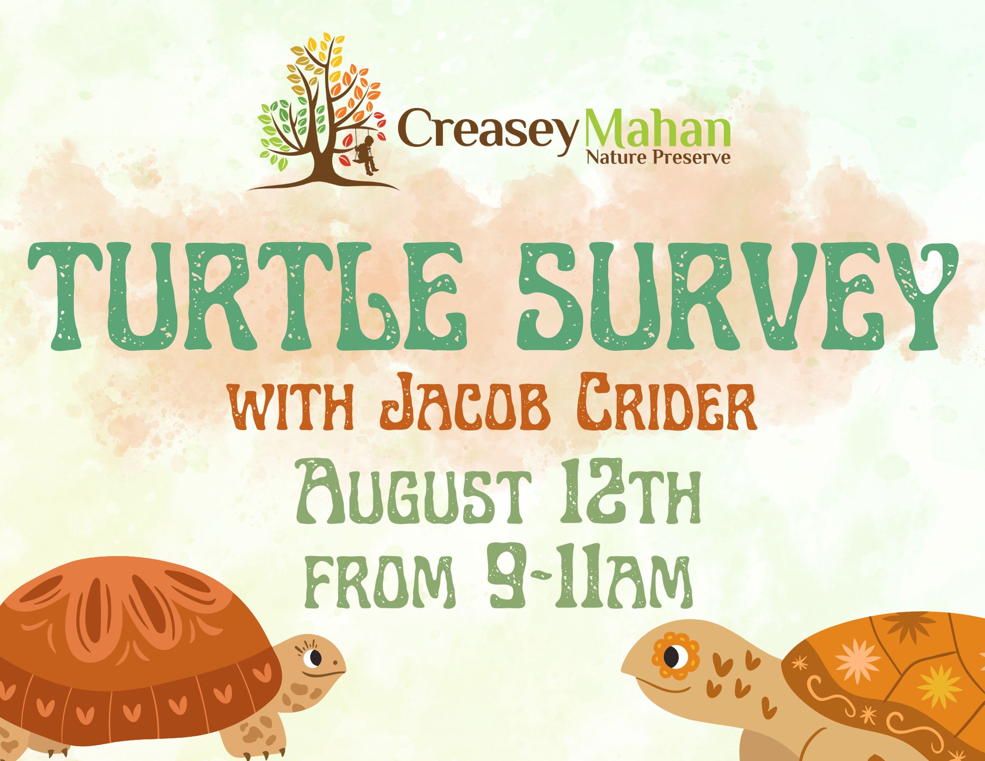 Read more about the article Turtle Survey