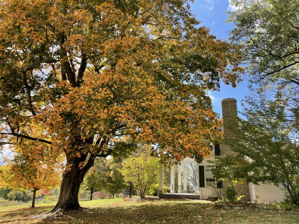 The Colors of Autumn