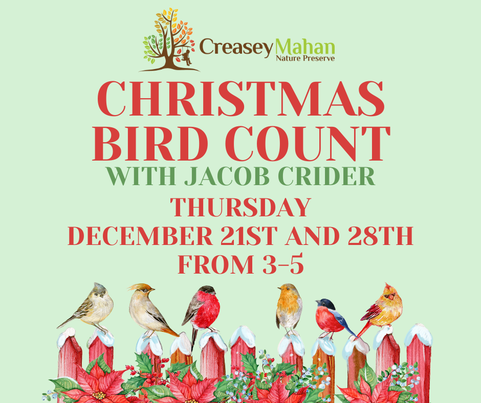 Read more about the article Christmas Bird Count