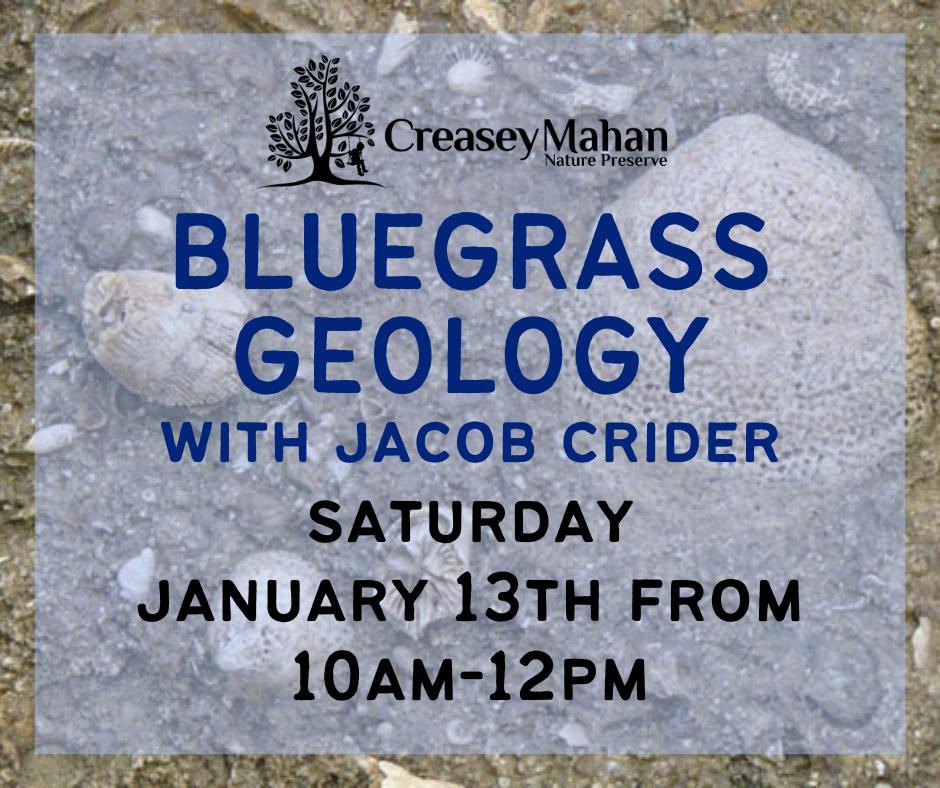 Read more about the article Bluegrass Geology