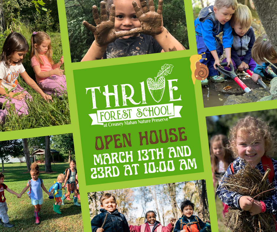 Read more about the article Thrive Open House