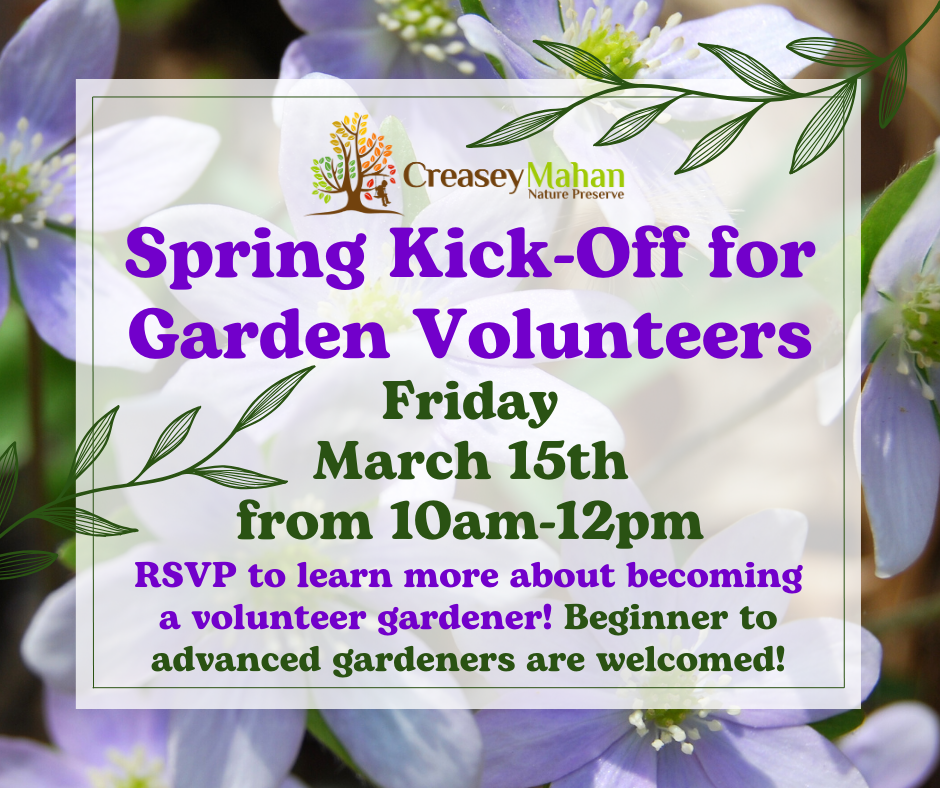 Read more about the article Spring Kick-Off for Garden Volunteers