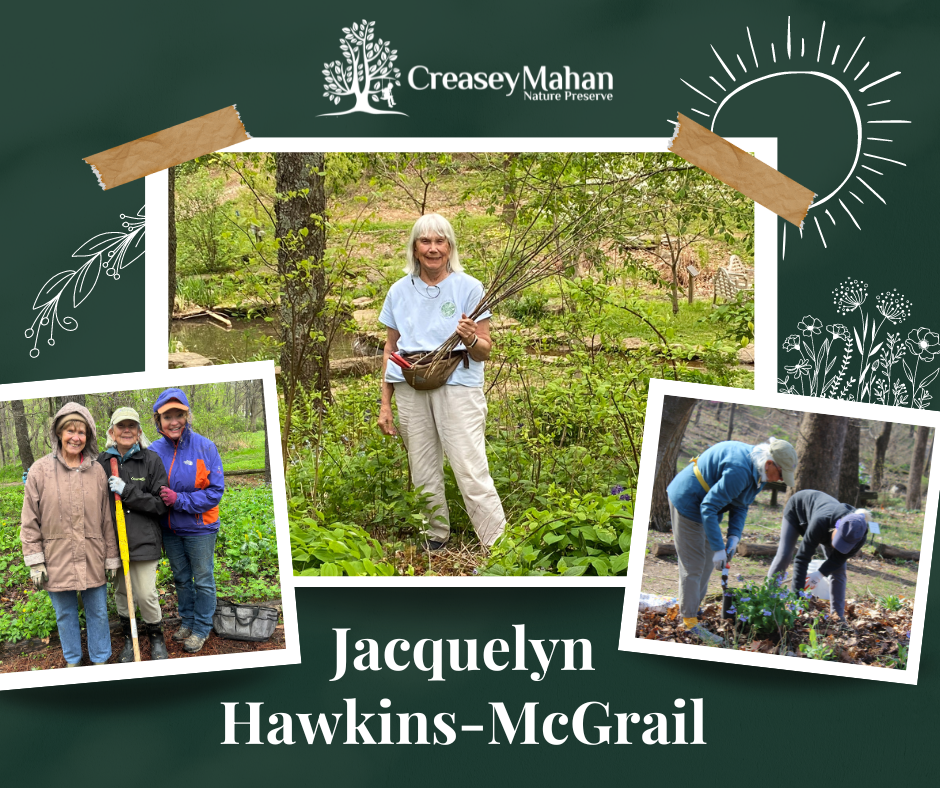 You are currently viewing VOLUNTEER SPOTLIGHT: Jacquelyn Hawkins-McGrail