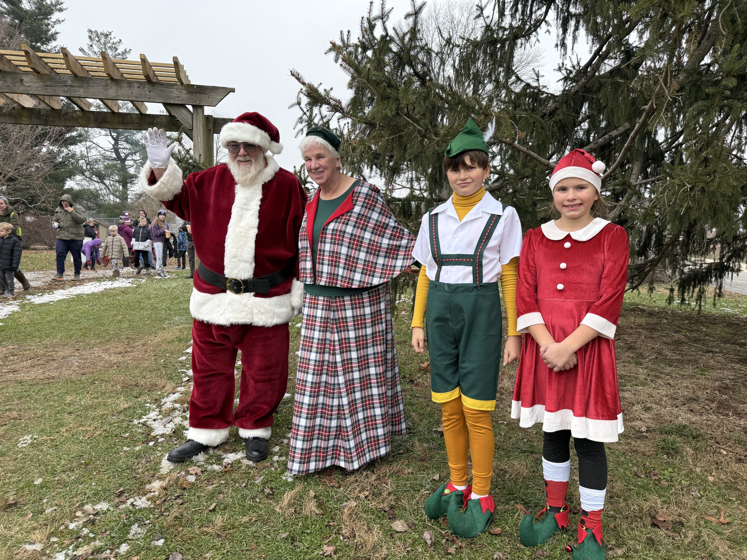 Read more about the article Nature of Christmas